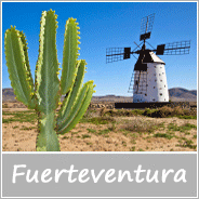 ikona Fuerteventura